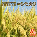 【ふるさと納税】令和6年産 石見高原みずほ米コシヒカリ 無洗米仕上8kg（5kg＋3kg）