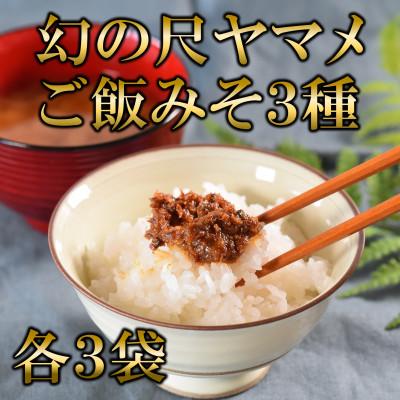 ふるさと納税 三股町 幻の尺ヤマメご飯みそ3種セット各100g×3【MI775】