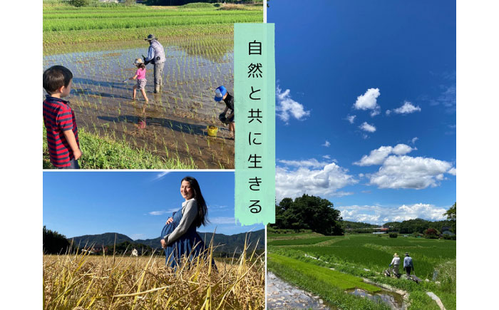 【令和7年度 新米】【数量限定】松江市産きぬむすめ5kg 優良金賞受賞米 島根県松江市/有限会社原田米穀 | きぬむすめ 5kg 無洗米 残留農薬不検出 [ALBW010]