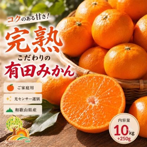 こだわりの完熟有田みかん 約10kg+250g(傷み補償分) ご家庭用 (nuk004-c-10)【1755515】