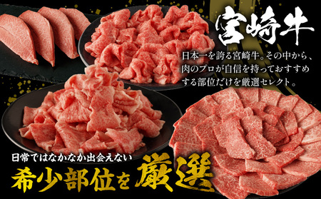 宮崎牛厳選部位食べ尽くしセット 肉 牛 牛肉
