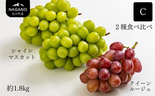 KG13-25A ぶどう2種食べ比べセットC（シャインマスカット／クイーンルージュ🄬）約1.8kg 贈答 / 9月下旬頃〜発送 // 長野県 南信州 松川町 種なし 皮ごと 食べ比べ 詰め合わせ 贈答 新鮮 シャインマスカット ルージュ 産地直送 農家直送 果物 フルーツ