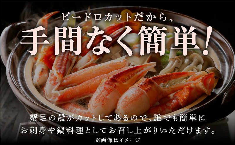 本ズワイしゃぶ 500g 蟹酢付 昆布塩加工＆いくら醤油漬け80g×2P 海鮮食べ比べセット ズワイガニ ズワイ蟹 G1483_イメージ5