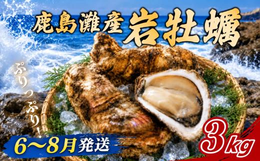 牡蠣 かき 3kg 岩かき 岩がき 旬 岩牡蠣 貝 天然かき 海産物 シーフード 海 鹿島灘 鹿島灘産 濃厚 国産 クリーミー 磯の旨味 栄養豊富 牡蛎 天然 産地直送 殻 海 海のチーズ 海のミルク 素潜り ごちそう お中元 御馳走 プレゼント グルメ 暑中見舞い 残暑見舞い 天然岩牡蠣 茨城県 鹿嶋市 【2026年6～8月発送】