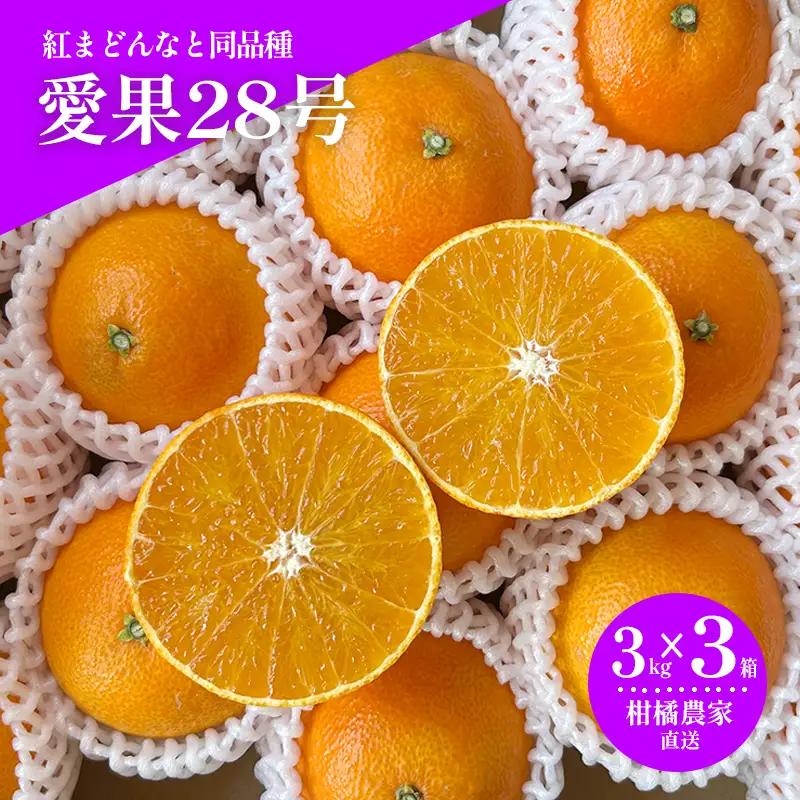 【2026年11月下旬から発送予定】 数量限定 愛果28号（紅まどんなと同品種） 約3kg×3箱 みかん 紅まどんなと同品種 果物 紅まどんなと同品種 フルーツ 紅まどんなと同品種 愛媛県【HMN0181】