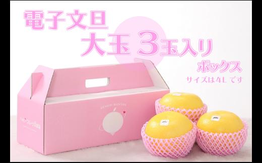 
            ハッピーフルーツ果樹園の電子文旦3玉（大玉）贈答用
          
