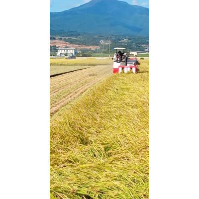 ふるさと納税 諫早市 【令和7年産】 特別栽培米・九州のこだわり米「にこまる」玄米10kg |  | 03