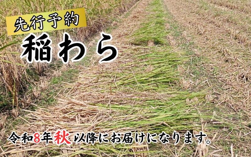 【ふるさと納税】岩美町産コシヒカリの稲わら 先行予約 お届けは2026年秋～｜鳥取 岩美町