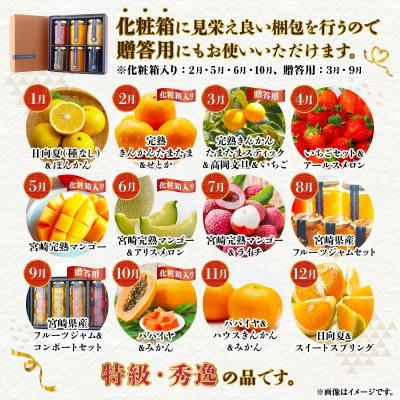 ふるさと納税 宮崎市 【発送月固定定期便】南国宮崎のフルーツ定期便全12回 |  | 01