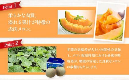 【先行予約】北海道 赤肉メロン LL玉×2個 (2026年7月発送開始) 