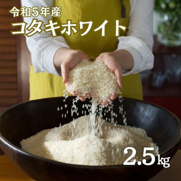 【令和7年産米先行予約】【ふるさと納税】希少米 コタキホワイト2.5kg（令和7年産）