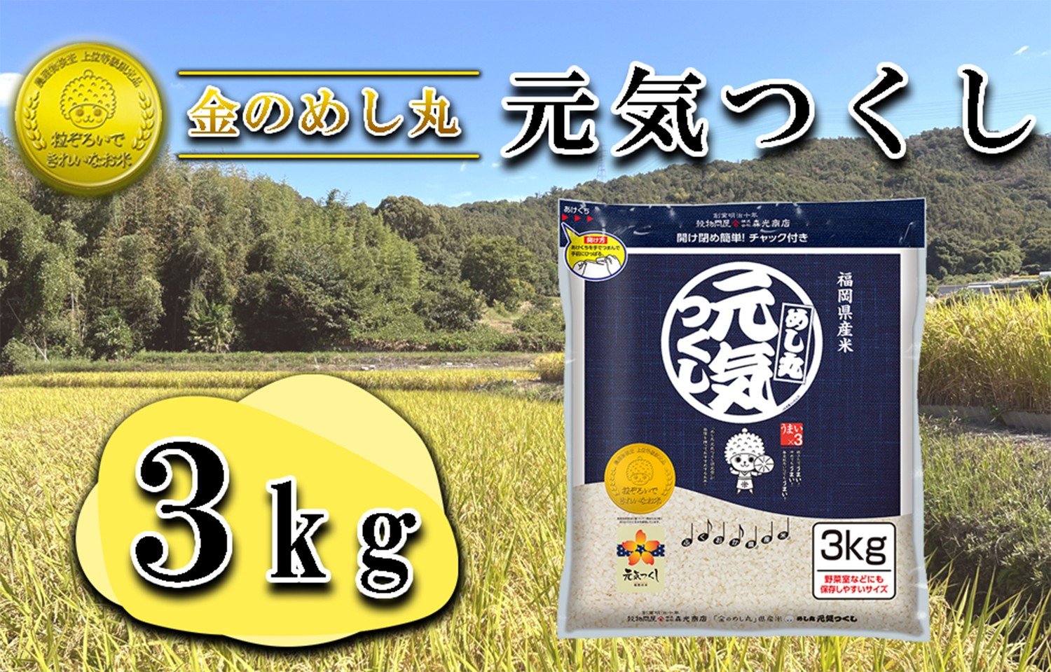 
            CE-110_令和７年米　金のめし丸元気つくし ３Kg（１袋）
          
