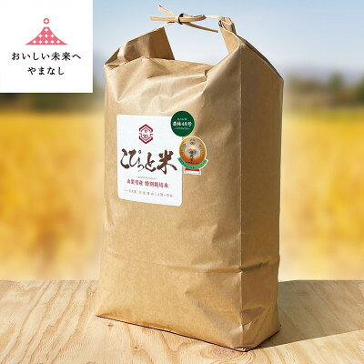 【ふるさと納税】国際大会受賞歴有!【令和8年産】こぴっと米【農林48号】玄米・10kg　特別栽培米【配送不可地域：離島】【1652047】