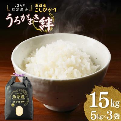 ふるさと納税 小千谷市 魚沼産コシヒカリ 精米 15kg JGAP認証農場 うちがまき絆