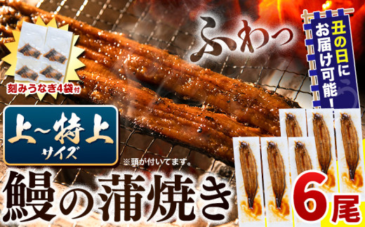 【  土用の丑の日予約受付中！  】 うなぎ 国産 鰻の蒲焼 6尾 ＋ きざみうなぎ 30g×4袋 上〜特上サイズ《7月中旬-7月下旬頃出荷》| うなぎ 蒲焼 国産 うなぎ 小分け うなぎ 国産 うなぎ 父の日 うなぎ 母の日ギフト うなぎ 簡易包装 送料無料 徳島県 上板町