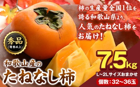 【先行予約】和歌山産のたねなし柿約7.5kg L~2Lサイズおまかせ 32～36玉【サイズお任せ/秀品】青秀以上《10月上旬-11月末頃出荷予定》 和歌山県 紀の川市 紀の川市厳選館 柿 カキ かき ジューシー フルーツ 秋の味覚 刃根早生 平核無柿