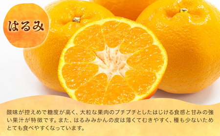 柑橘 食べ比べ 約2.1kg計3種入り 