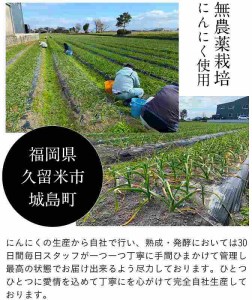久留米産熟成黒にんにく大小31粒入り_久留米産 熟成 黒にんにく 大小 31粒入り 栽培期間中 農薬不使用 アミノ酸 ポリフェノール 豊富 抗酸化作用 抗アレルギー作用 自然素材 サプリメント 子ども