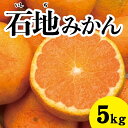 【ふるさと納税】【先行予約】石地みかん約5kg【2024年12月以降発送】広島 三原 佐木島 鷺島みかんじま みかん フルーツ 蜜柑 柑橘 果物 産地直送 お取り寄せ 017016