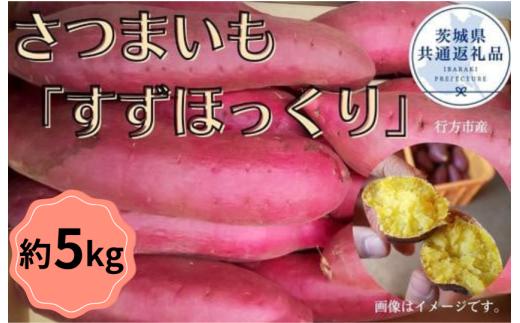 【2025年産】さつまいも「すずほっくり」約5kg（茨城県共通返礼品／行方市産）