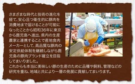 鹿児島県産 豚肉 ローススライス　合計2kg（500g×4パック）ロース 豚 肉 お肉 AS-583-0 【2026年2月上旬以降順次発送予定】
