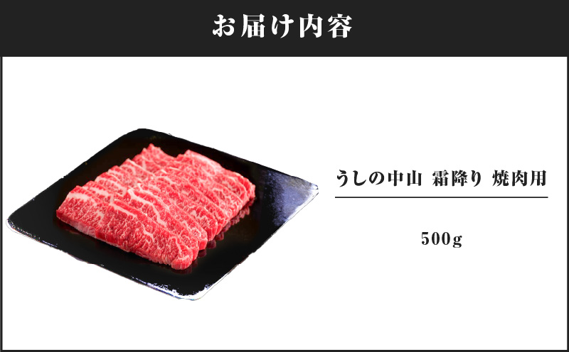 2110-1 うしの中山 赤身 焼肉用 500g　KN050-038