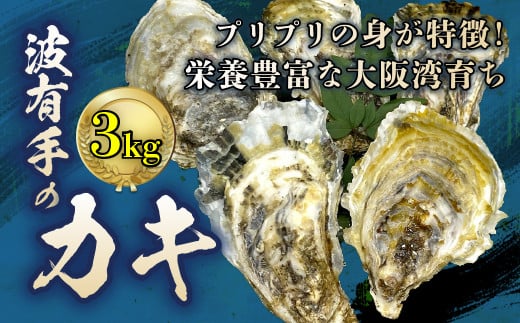 
波有手（ぼうで）のカキ 3kg 【2024年12月下旬から2025年2月下旬発送予定】 海鮮 魚貝類 かき カキ 牡蠣 生ガキ 生牡蠣 加熱用 焼き牡蠣 殻付き 冷凍
