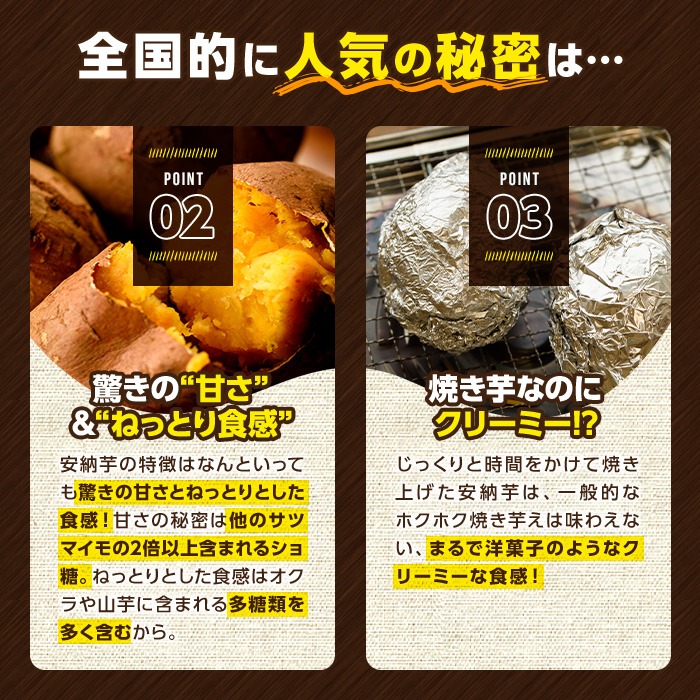 n046 ＜先行予約受付中！2026年10月中旬頃より順次発送予定＞数量限定！種子島産 安納芋(Mサイズ・10kg) 国産 安納芋 紅 種子島 芋 イモ いも さつまいも さつま芋 安納いも セット 