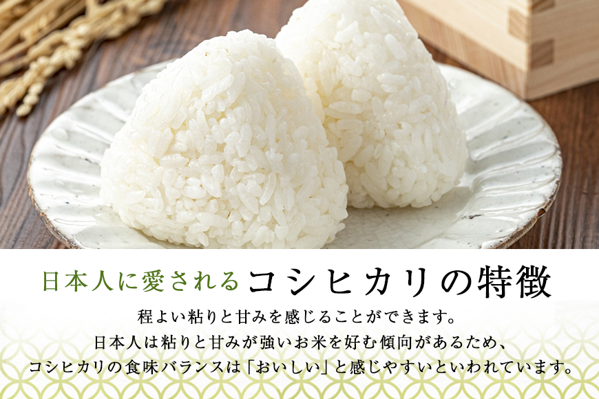 令和5年産 特別栽培米コシヒカリ 5kg こしひかり お米 白米 リピーター続出 特別栽培 天然肥料 茨城県 小美玉市 14-C