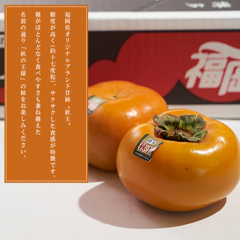 福岡限定!ブランド柿「秋王(あきおう)」約3kg(8-12玉) 4A19