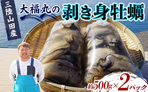 大福丸の剥き身牡蠣 約500g×2パック【三陸山田産】【沖縄・離島配送不可】三陸山田 山田町 山田湾 海産品 かき YD-724