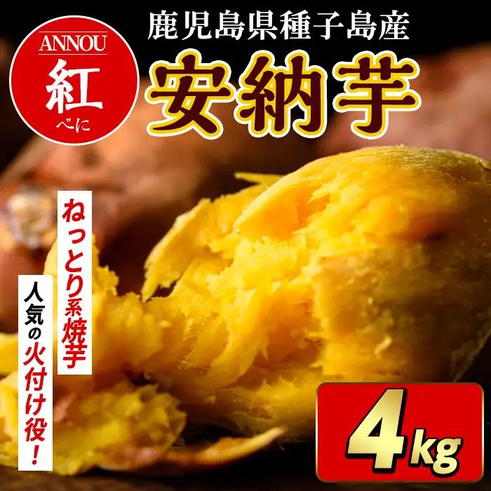 安納芋 さつまいも 紅 4kg 種子島産 【うずえ屋】n479