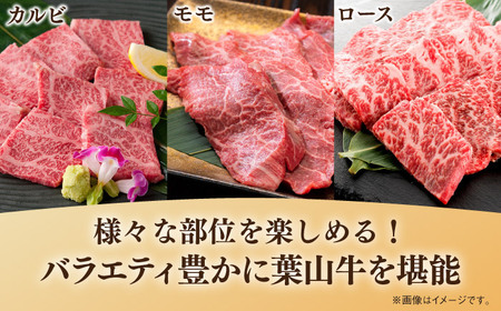 【全6回定期便】葉山牛750g　焼肉用ミックス 牛肉（ロース、モモ、カルビ等） 食べ比べ[ASBD032]