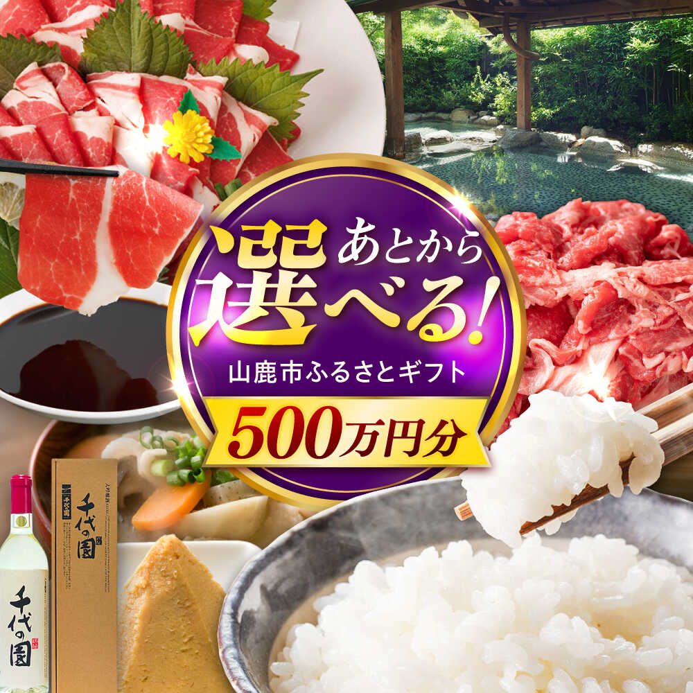 【ふるさと納税】【あとから選べる】山鹿市ふるさとギフト　500万円分 米 牛肉　豚肉 馬刺し くまもと黒毛和牛 定期便 山鹿[ZEC037]