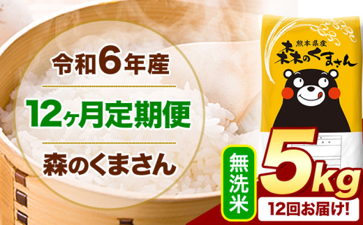 【12ヶ月定期便】令和6年産 無洗米  森のくまさん 5kg 5kg×1袋  《お申込み月の翌月から出荷開始》 熊本県産 無洗米 精米 米 こめ コメ お米 kome