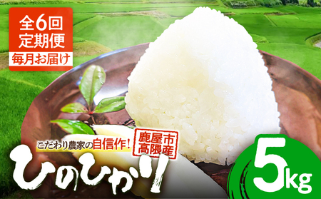 2293-2 【 全6回定期便 】 鹿屋市高隈産 「 ひのひかり 」 計30kg　KN069-T04 定期便 定期 米 お米 こめ コメ 主食 高隈米 美味しい おいしい ハマダ商事 ふるさと納税 鹿児島 鹿屋市 おすすめ ランキング プレゼント ギフト