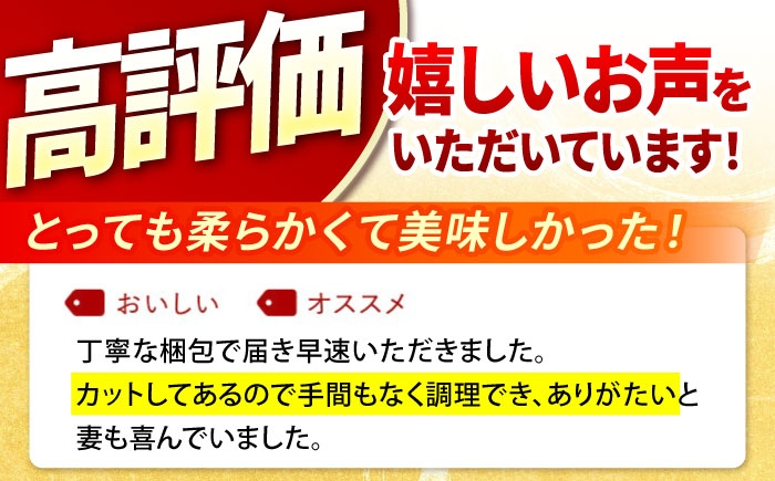 国産 三元豚 豚肉 豚ヒレ肉 ひれ ヒレ肉 切り落とし トンカツ とんかつ