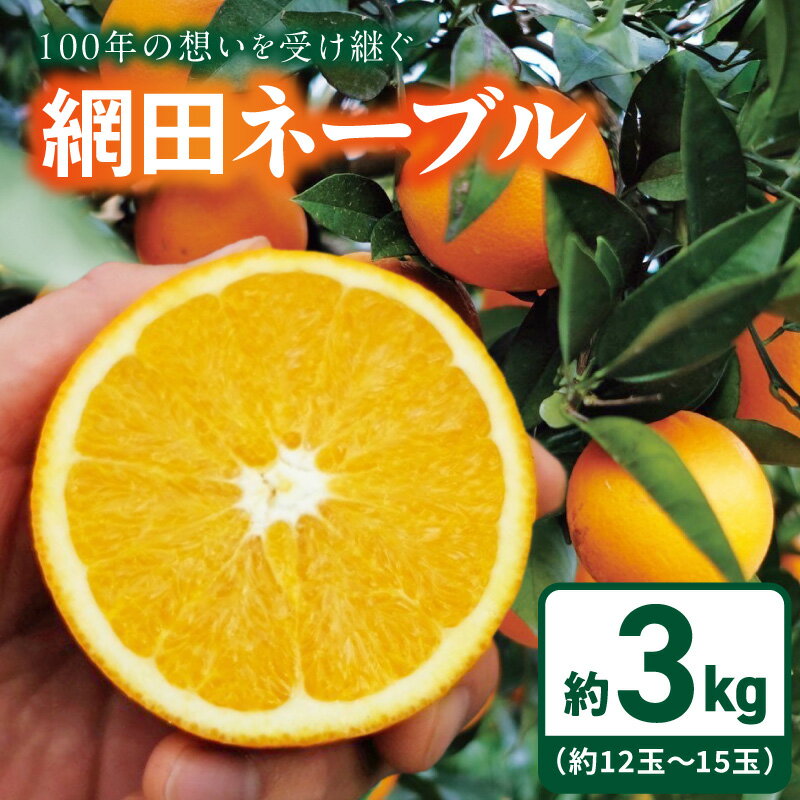 【ふるさと納税】ネーブル 希少 網田ネーブル 約 3kg 12玉 〜 15玉 皇室献上品 香り 甘さ 宇土市産 オレンジ 柑橘 フルーツ 果物 常温 ジューシー 国産 ビタミンC 果汁 果実 食品 蜜柑 お取り寄せ お取り寄せスイーツ 送料無料【熊本県宇土市】