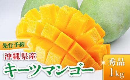 キーツマンゴー 秀品（1kg）KM009   