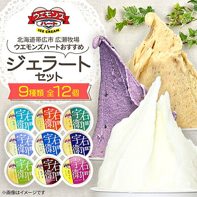 【ふるさと納税】ウエモンズハートおすすめ　ジェラートセット(9種類 全12個)【配送不可地域：離島】【1205880】