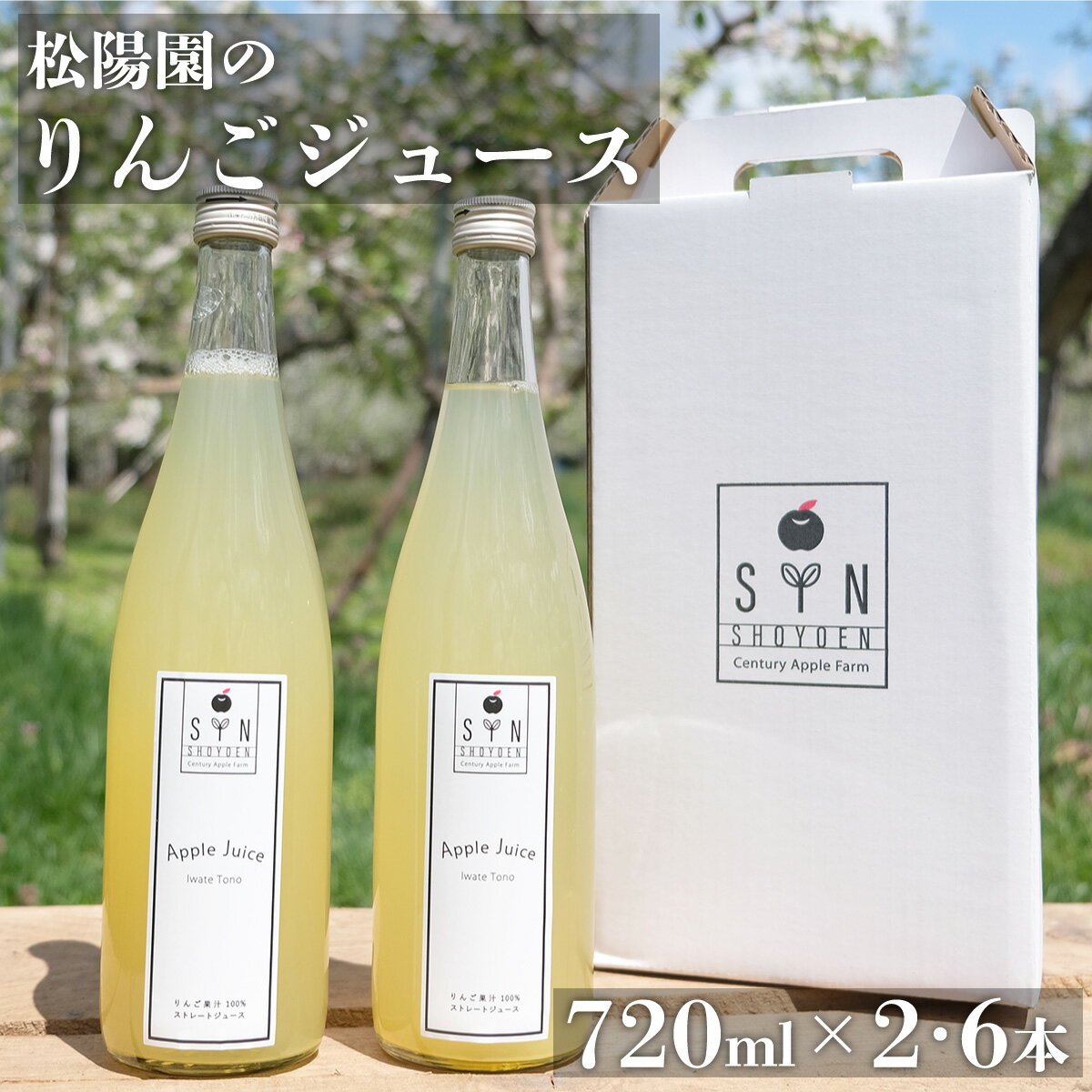 【ふるさと納税】りんごジュース 2本 6本 セット 720ml / 100% 岩手県 遠野市 松陽園 りんご農家 松陽園 農家 産地 直送 ギフト 贈答 お祝い 箱 詰め合わせ 送料無料 リンゴ アップル 果汁飲料 林檎 朝食 無添加 健康
