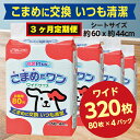 【ふるさと納税】298【3ヶ月連続お届け】定期便 3回 ペットシート こまめだワン ワイド 80枚×4袋 クリーンワン ペットシーツ 犬用 抗菌 こまめに交換 いつも清潔