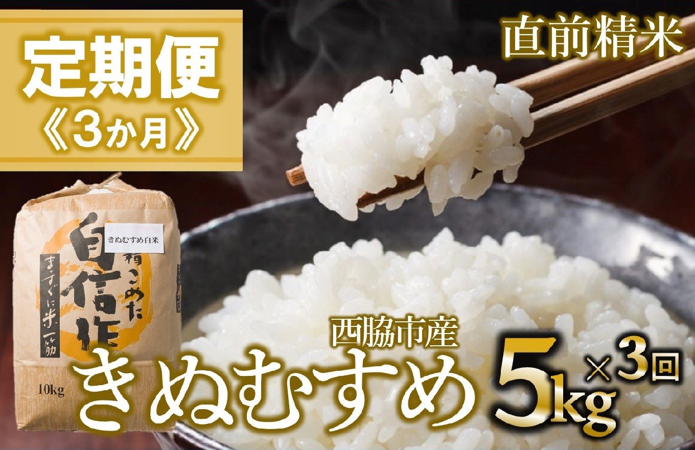
                  【定期便 3か月 きぬむすめ】白米5kg（3か月連続お届け）新米 2025年産　米 お米 米5㎏ お米5㎏ 兵庫県産 きぬむすめ キヌムスメ 西脇市産 定期 連続 3回 3か月 2025年産 精米 便利 らくちん ラク
                