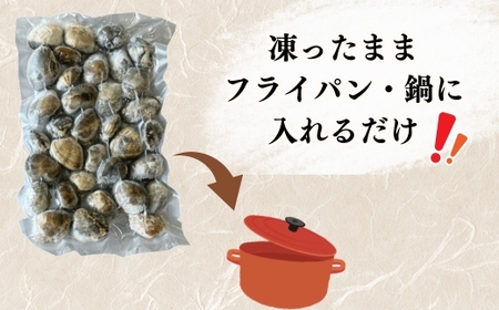 天然 あさり 約1.2kg (300g×4袋) 冷凍 小分け 個包装 岬だより 砂抜き 水洗い 下処理済み アサリ