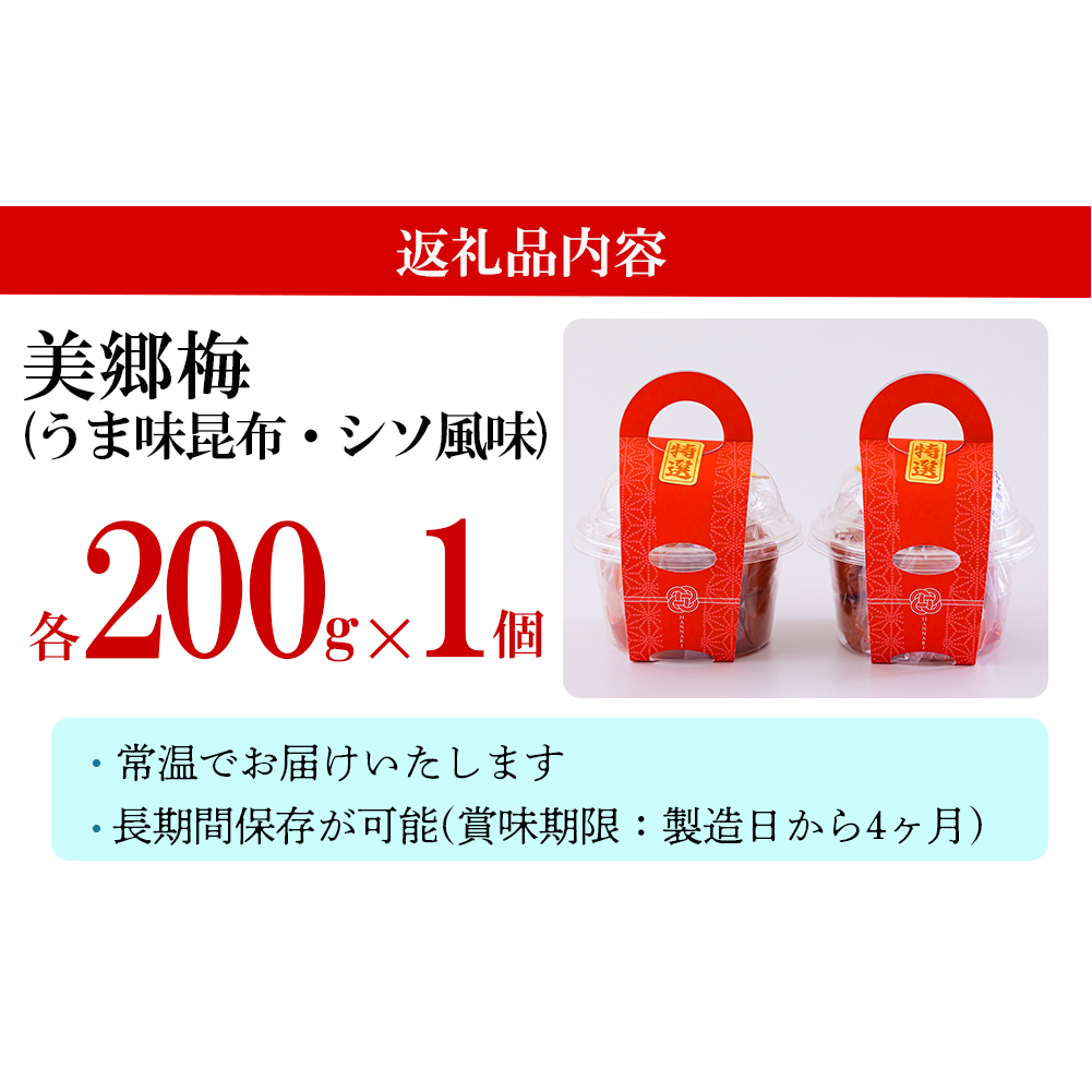 梅 南高梅 美郷梅使用 梅干し 昆布 シソ 風味 セット 3L サイズ 200g ×2 [農林産物直売所 美郷ノ蔵 宮崎県 美郷町 31ab0111] うめ ウメ 個包装 詰め合わせ_イメージ4