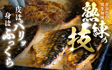 焼き鯖フィーレ 半身 骨なし 5枚×2パック 【脂がのったノルウェー鯖 解凍してすぐ食べられる！】 / サバ 鯖 さば 冷凍 小浜市 / 若廣 【配送不可地域：北海道・沖縄・離島】[BFAM012]