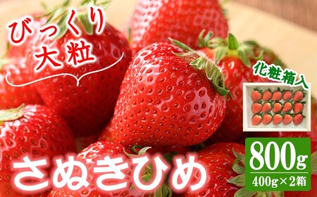 ＜先行予約！2027年2月中旬以降順次発送予定＞＜贈答用＞香川県産 さぬきひめいちご(計約800g・約400g×2箱) 国産 果物 苺 イチゴ フルーツ 産地直送 【man100】【Aglio nero】