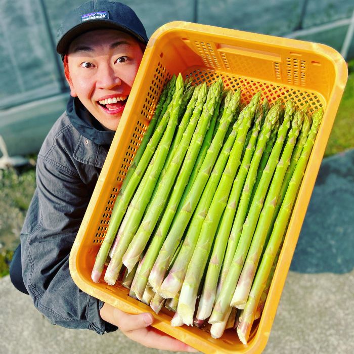 アスパラ王子が育てた自慢のアスパラ「極み」1kg (さぬきのめざめ おおもりや)【予約受付：令和7年3月中旬頃より御用意出来次第発送】【H-56】