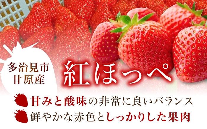 完熟 大粒 いちご イチゴ 冷凍 フローズン フルーツ 果物 ストロベリー 紅ほっぺ 苺 冷凍苺 冷凍いちご デザート