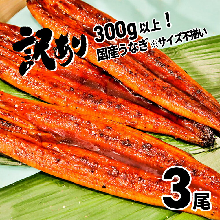 さかい河岸水産の国産うなぎ 3尾(300g以上) 訳あり サイズ不揃い